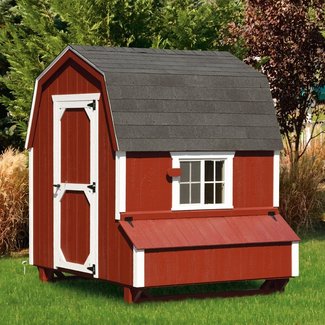 Dutch Style 6x6 Chicken Coop (up to 20 chickens)