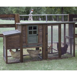 Hen House II Chicken Coop with Roosting Bar