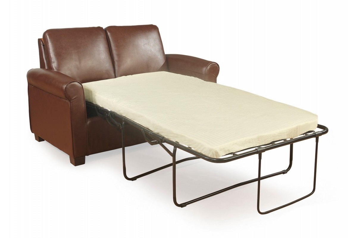 Love Seat Sleeper Sofa |