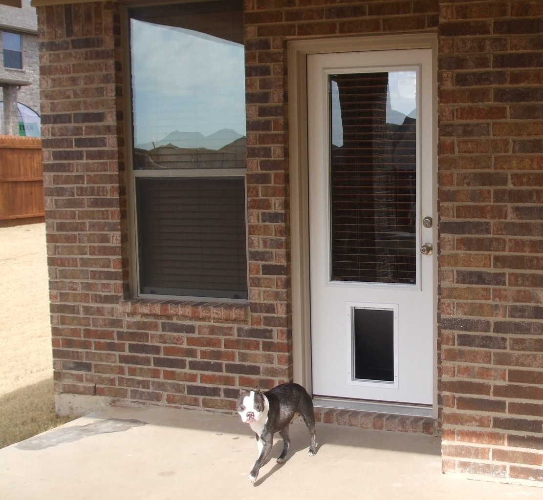 door with window and dog door