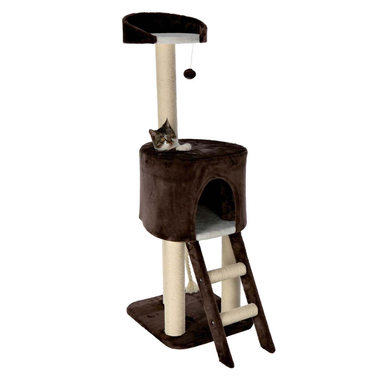 Malachi 51" Rolanda Cat Tree