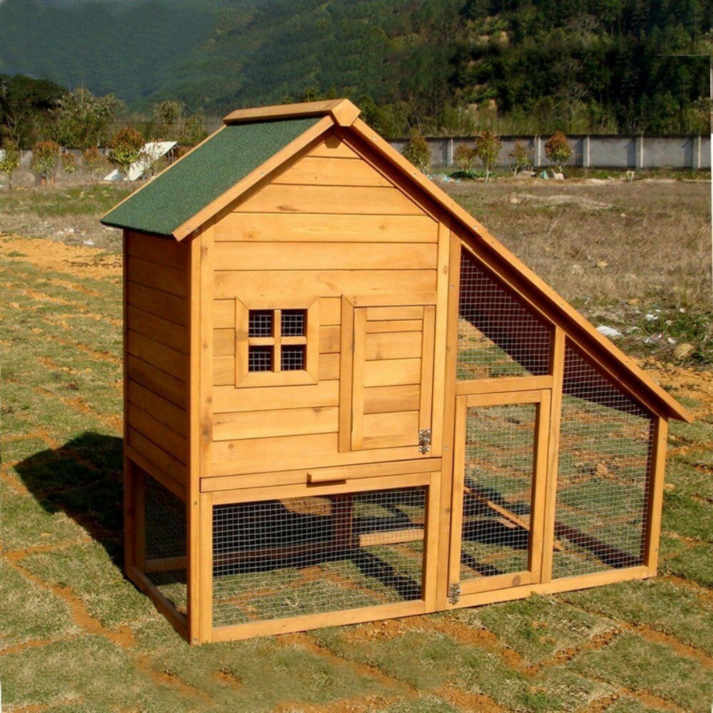 Multi-Level Chicken Coop