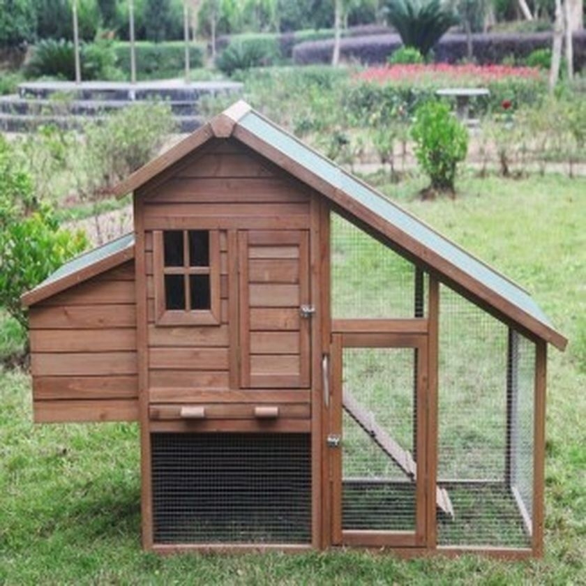 Multi-Level Wooden Chicken Coop