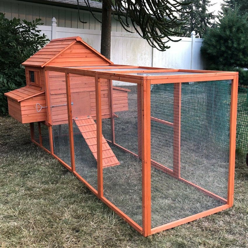 Multi-Level Wooden Chicken Coop
