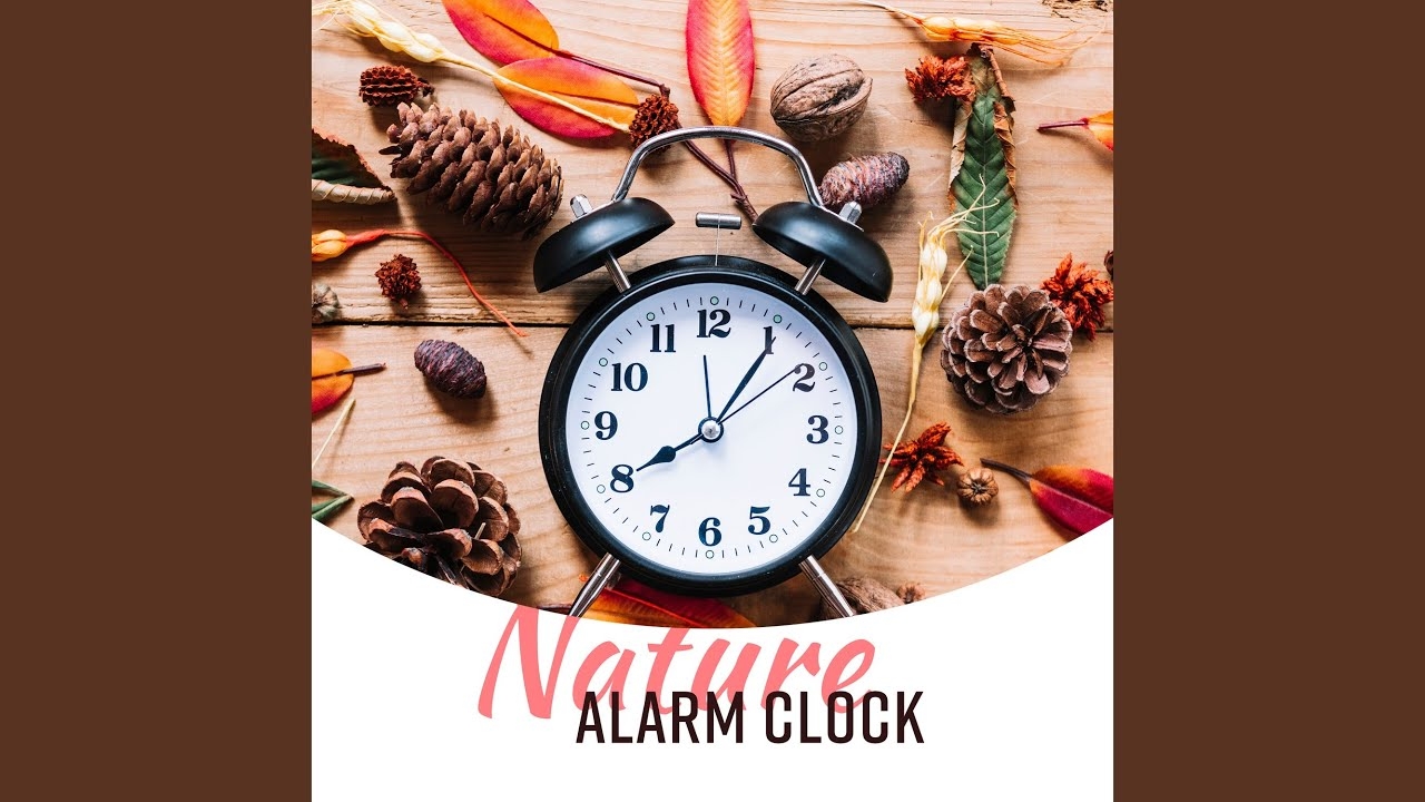Nature Alarm Clock: Wake Up Sounds, Gentle Awakening & Happy Morning
