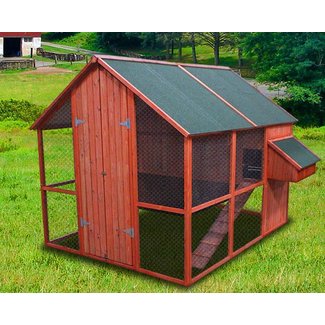 Walk In Chicken Coop Visual Hunt