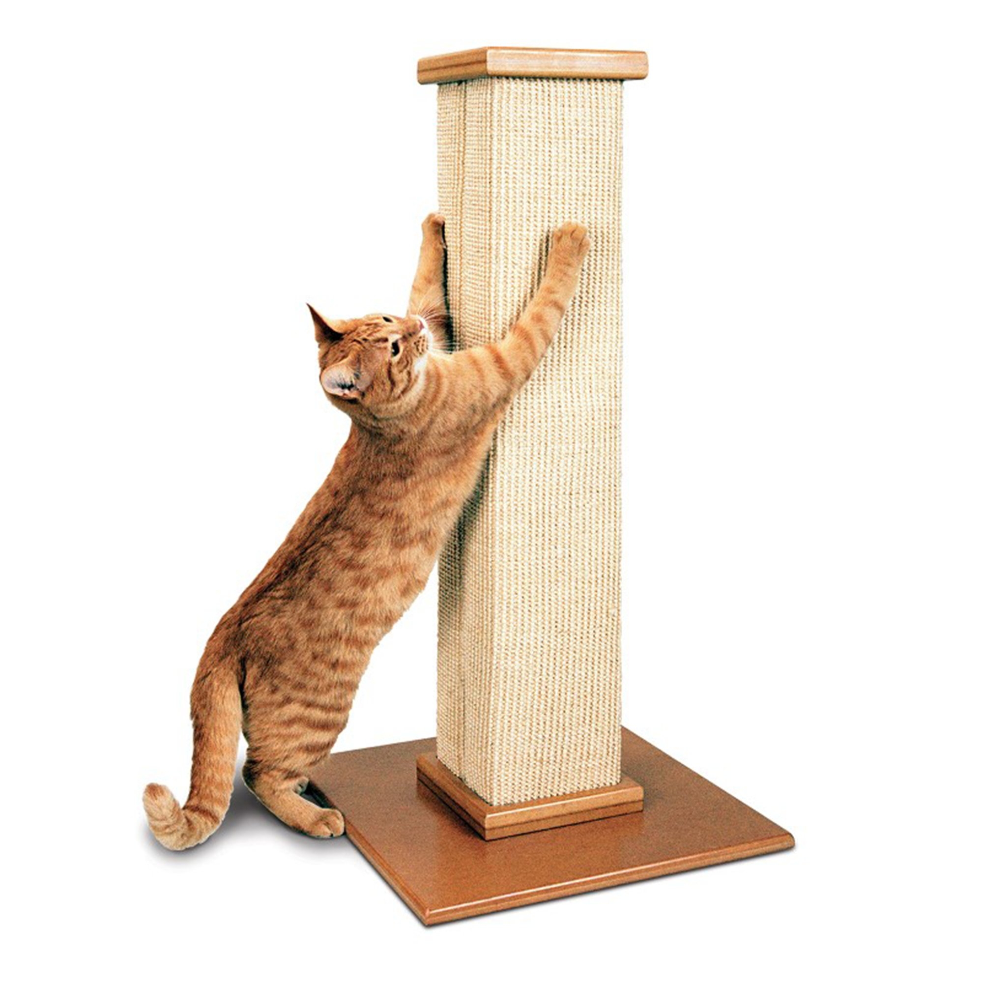 Extra Heavy Jumbo Premium Cat Scratching Pole Post 120cm Height For Large Cats 