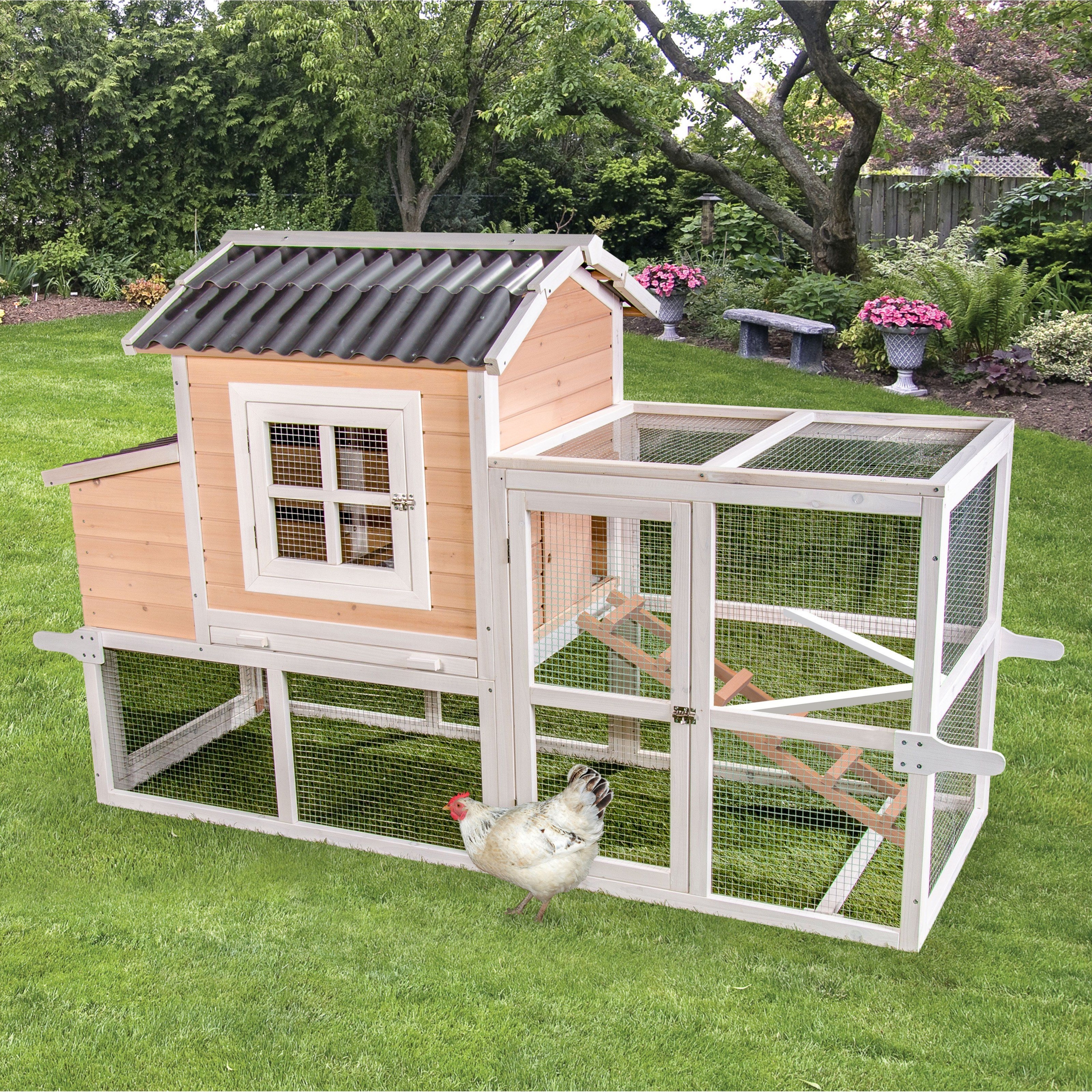 Premium + Big Dutch Barn Chicken Coop with Chicken Run