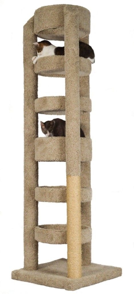 cat tree house for large cats