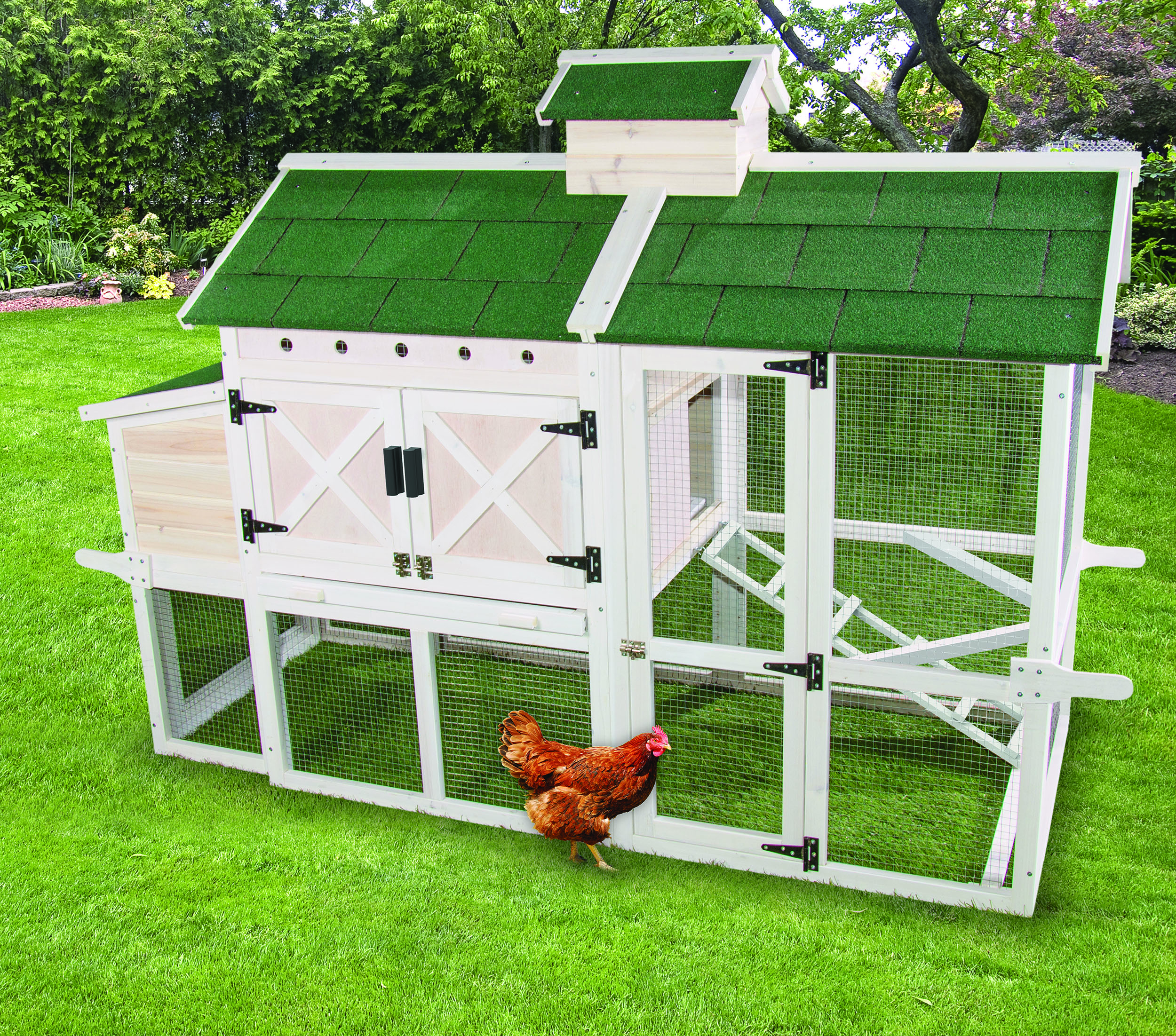 Premium Chicken Coop with Chicken Run