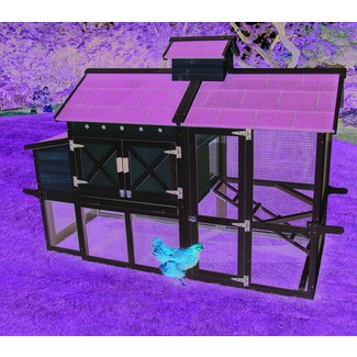 Premium Chicken Coop with Chicken Run