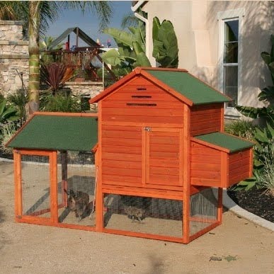 Raised Wooden Chicken Coop with Chicken Run