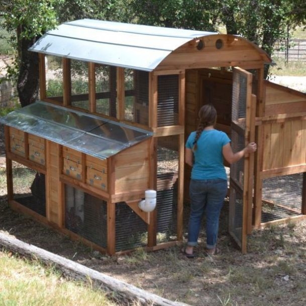 Round-Top Walk-In™ Chicken Coop - Urban Coop Company ...