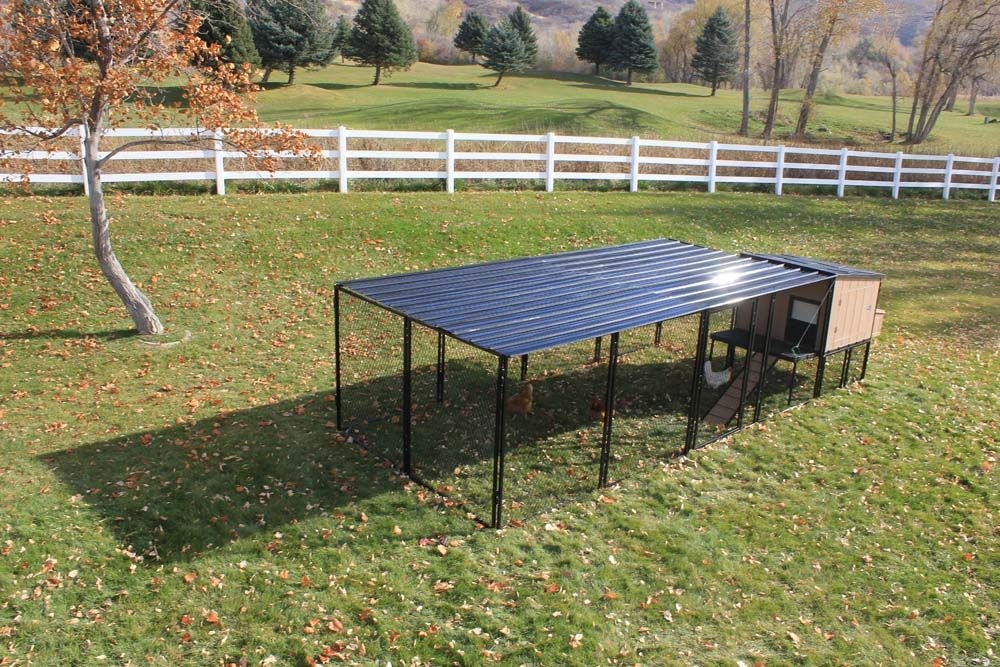 Urban Chicken Coop with Chicken Run