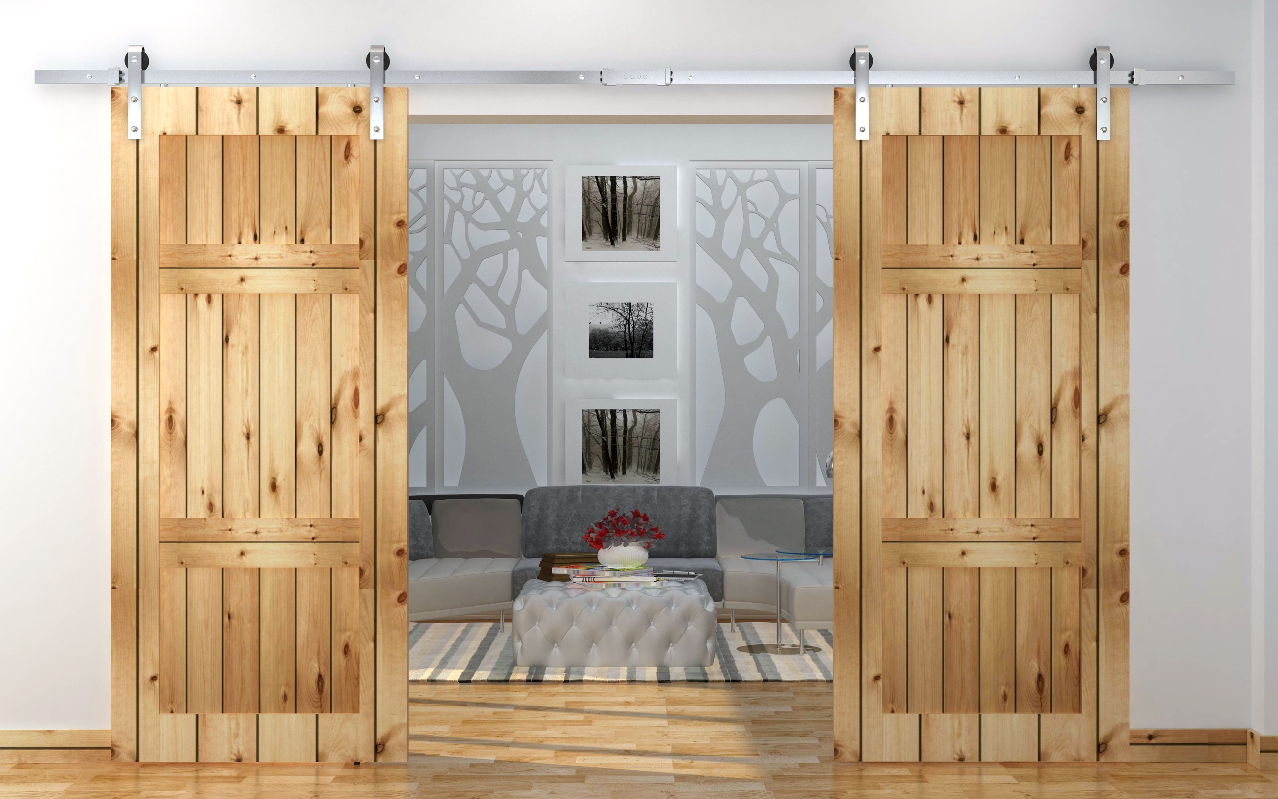 WinSoon 5-16FT Sliding Barn Door Hardware Double Doors ...