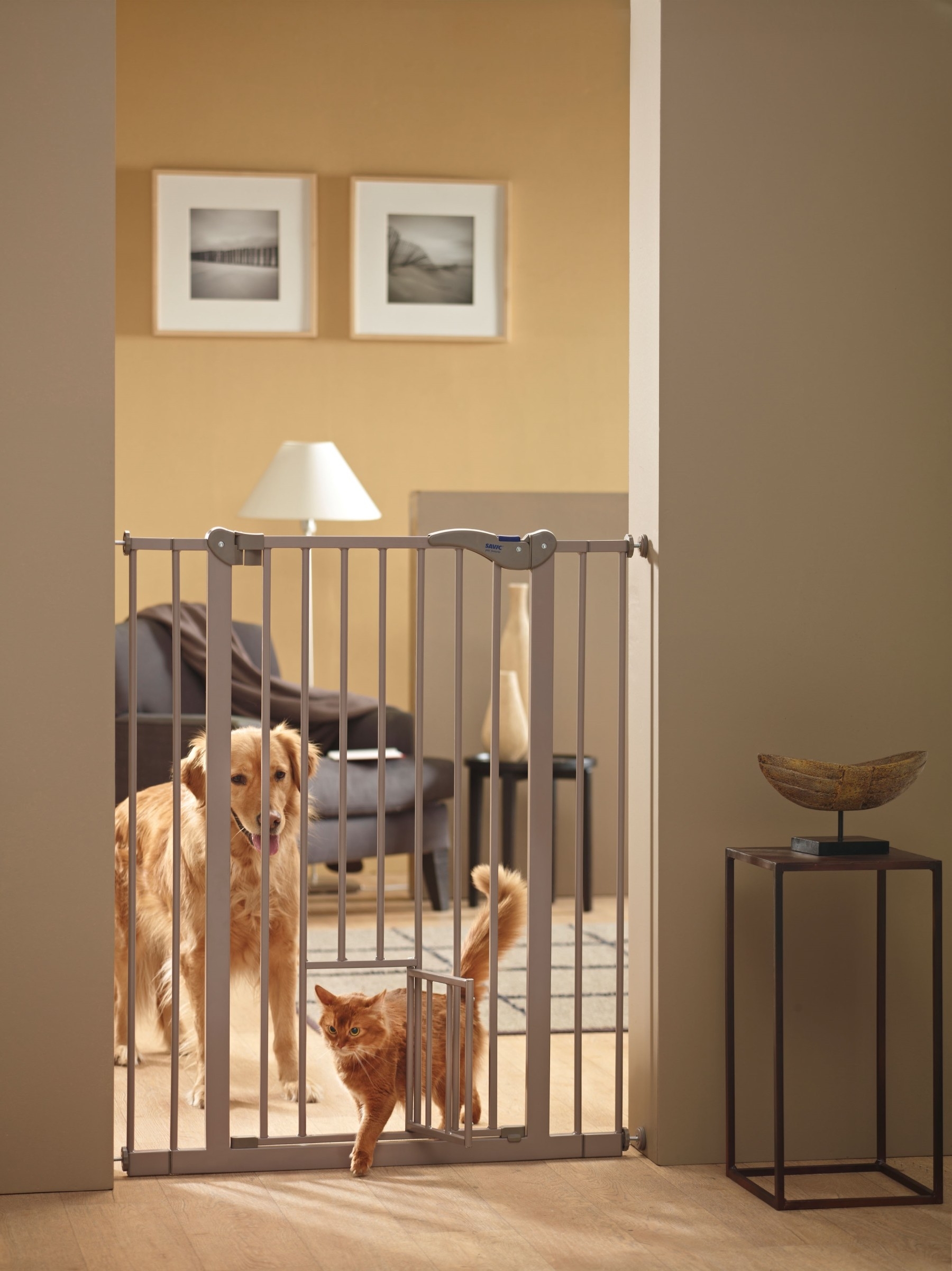 stair gates with cat flaps in
