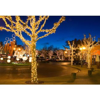 Outdoor Tree Lights Solar - VisualHunt