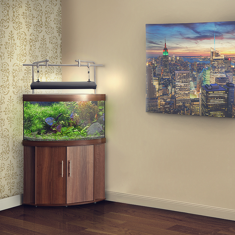 #20 Most Attractive Collection of Aquarium Furniture ...