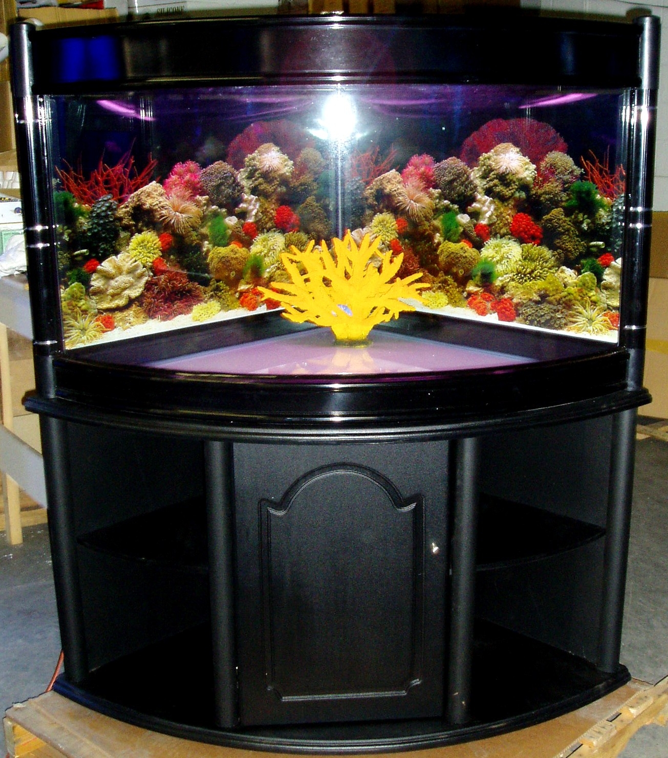 30 Gallon Corner Fish Tank