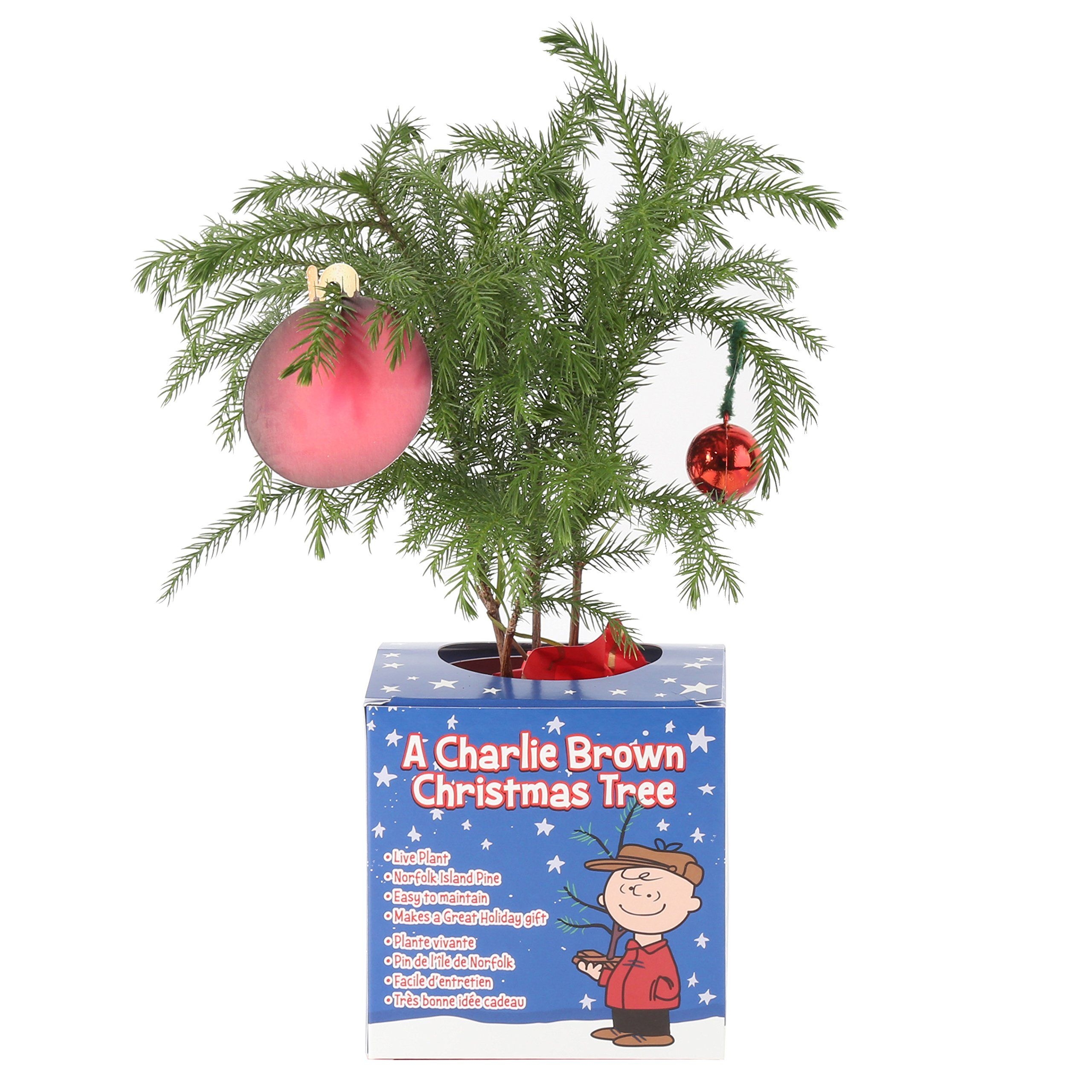 33 Best Christmas Gifts for Parents Who Have Everything ...