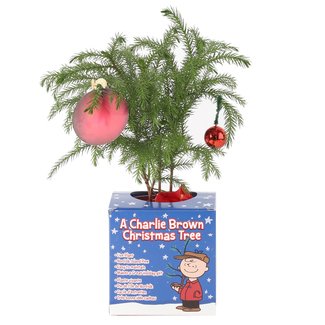 33 Best Christmas Gifts for Parents Who Have Everything ...