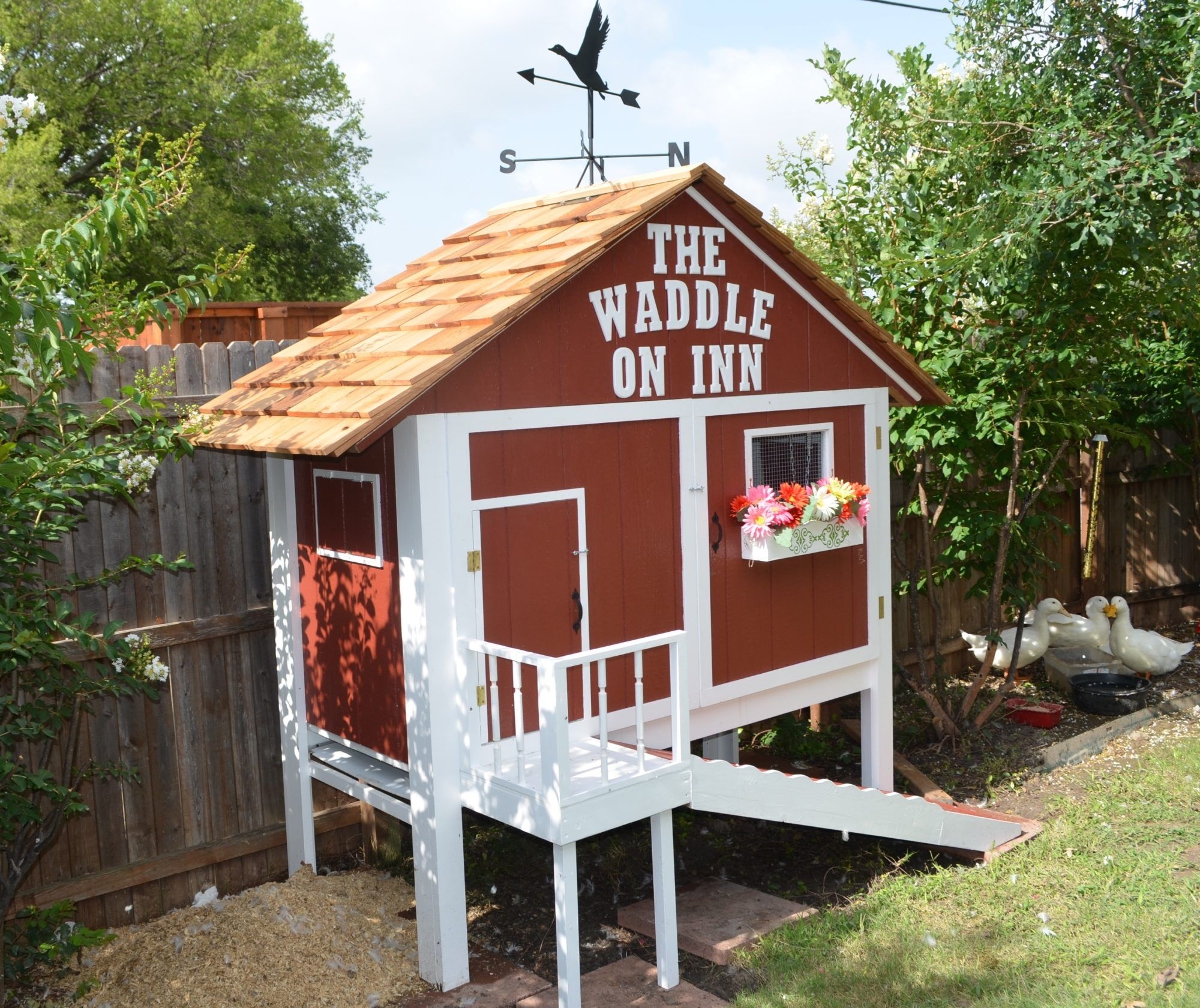Large Duck Coop Ideas Wholesale UK Acervonet br