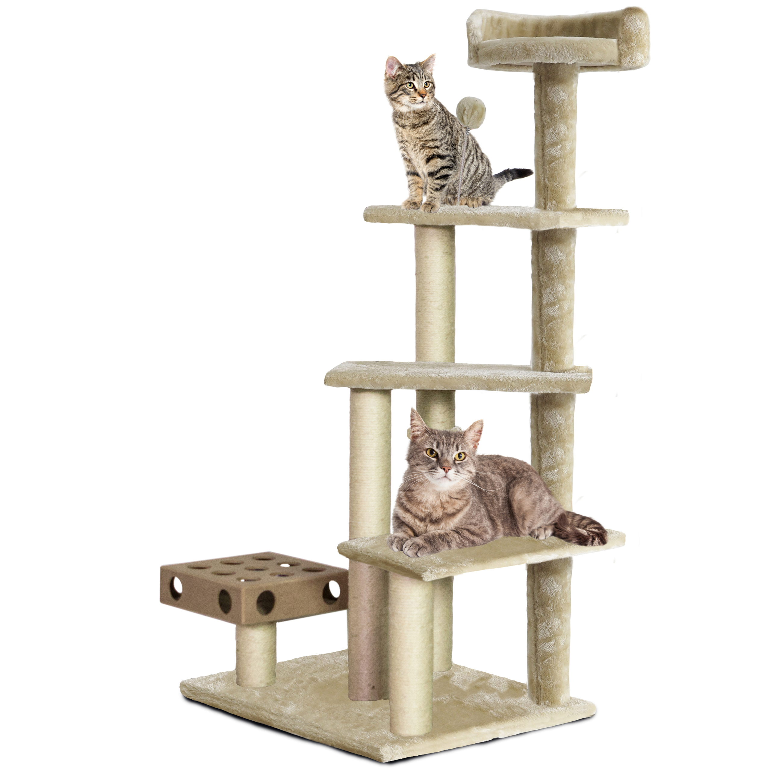 Gertrude scratching clearance post