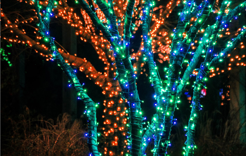 60 100 LED Solar Power String Light Wedding Party Xmas