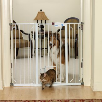 50 Baby Gate With Cat Door You Ll Love In 2020 Visual Hunt