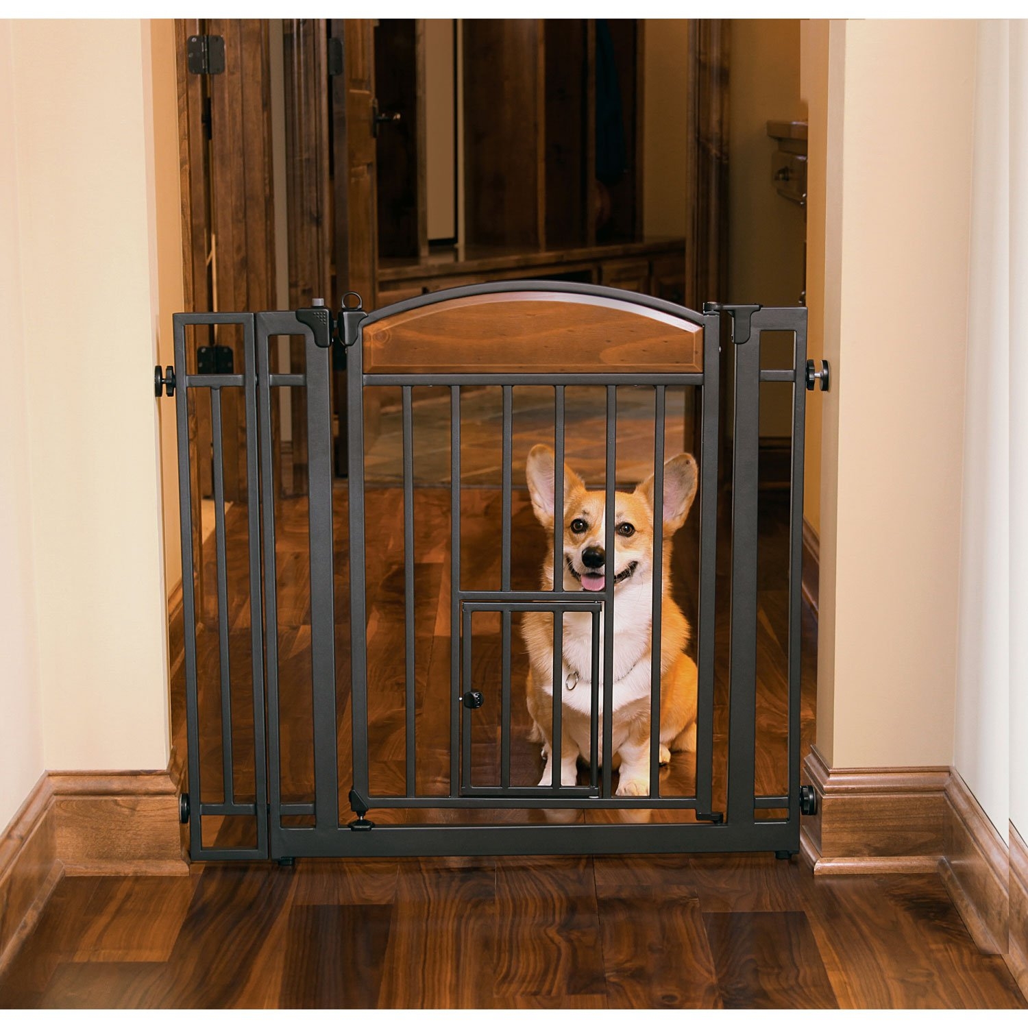 pet gate with cat door