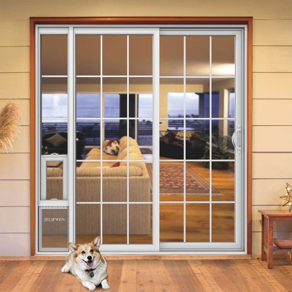 Door With Dog Visualhunt