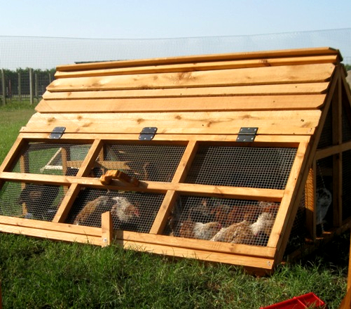 Duck Coop For Sale - VisualHunt