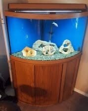 Corner Aquariums & Tanks | eBay