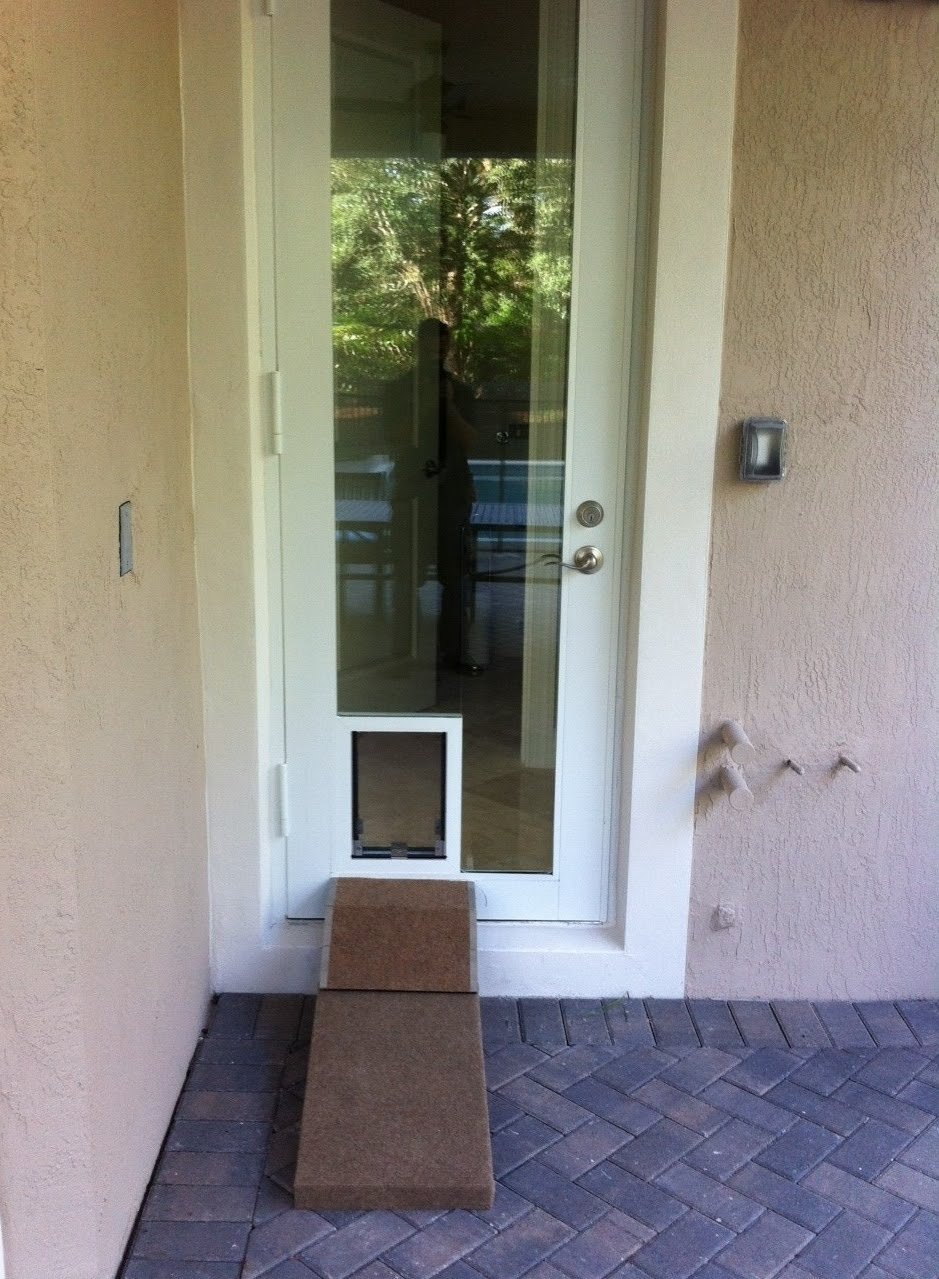 Door With Dog Door