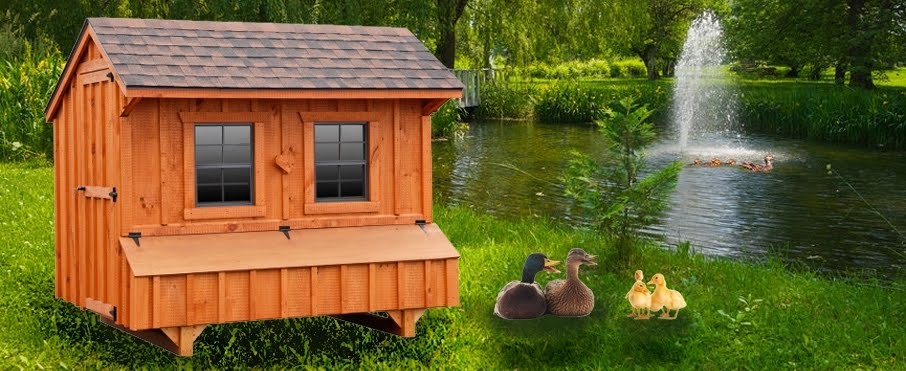 Duck Houses | Duck Coops