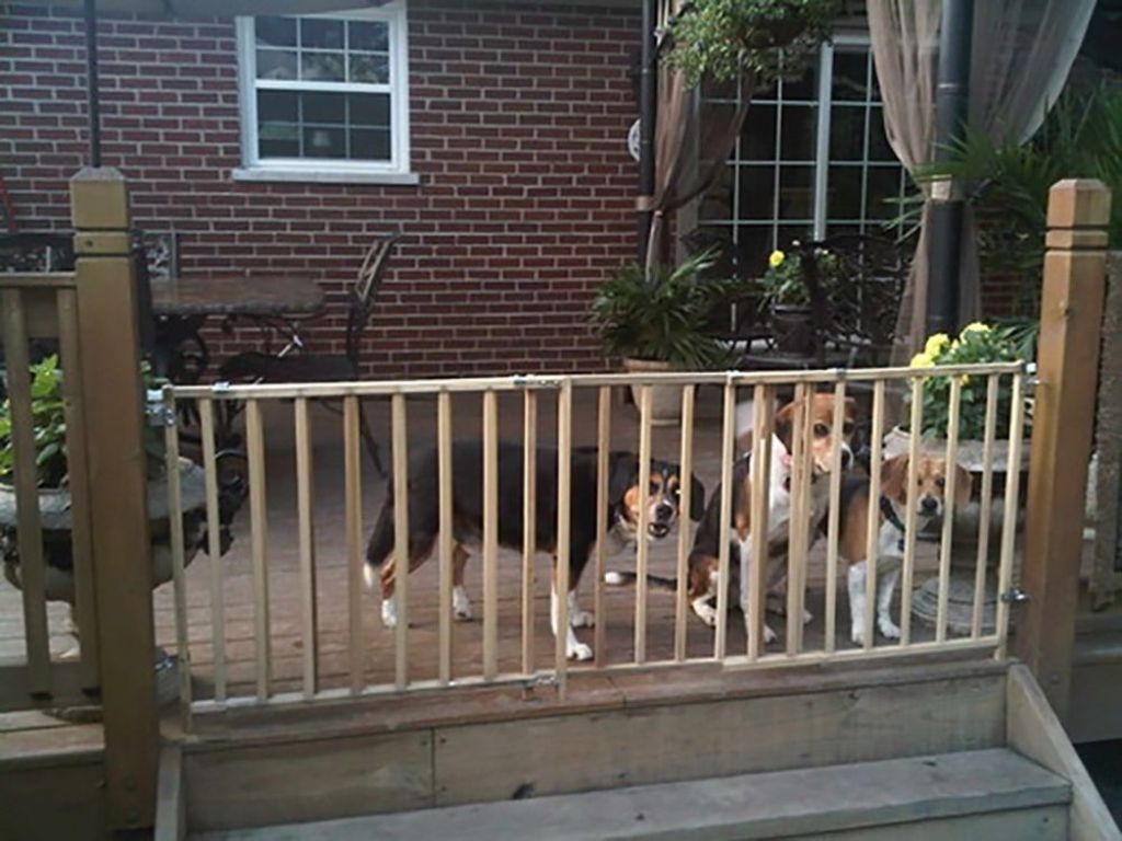 Extra Large Supergate Pet Child Dog Gate Safety Extra Wide