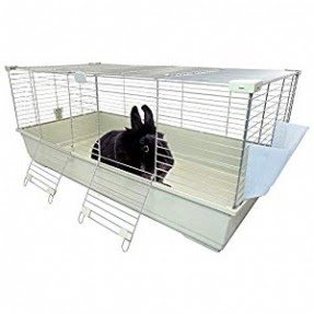 Large Indoor Rabbit Cage VisualHunt