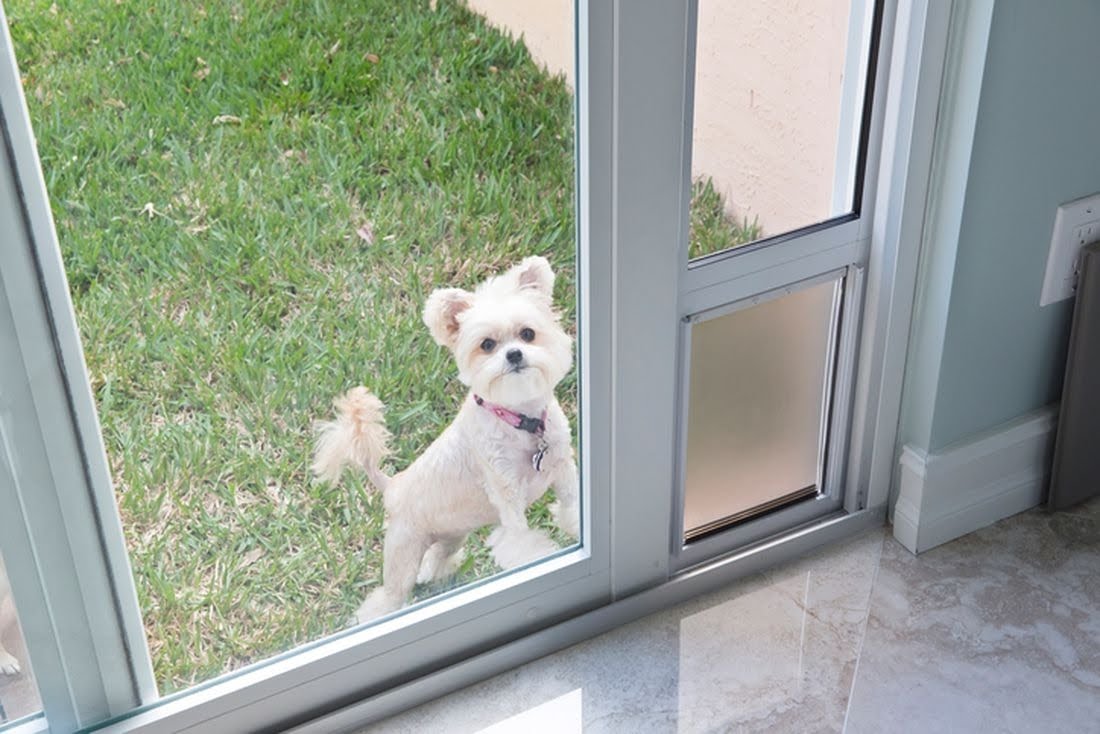 Diy automatic outlet dog door