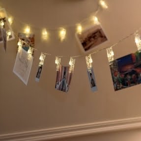 Jacobus 196.8 ft. 40-Light Novelty String Light