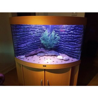 54 Gallon Corner Fish Tanks For Sale : Post your items for free. 