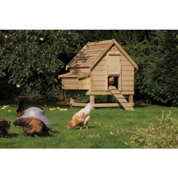 Large Chicken Coop - Chicken Houses & Runs - Chicken