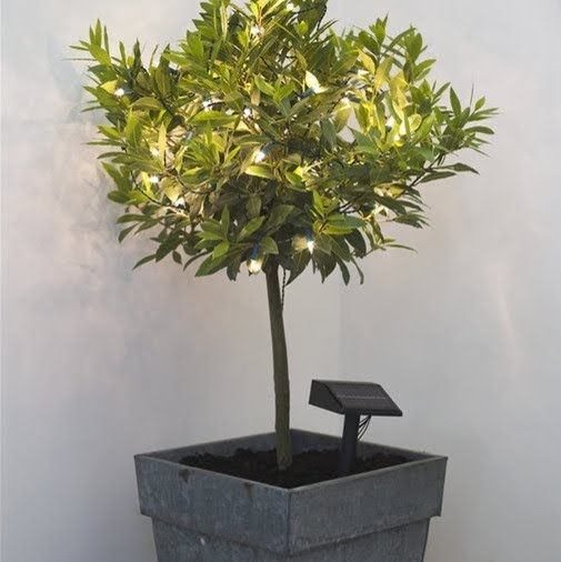 LED Solar Outdoor Tree Lights - Contemporary - Outdoor ...