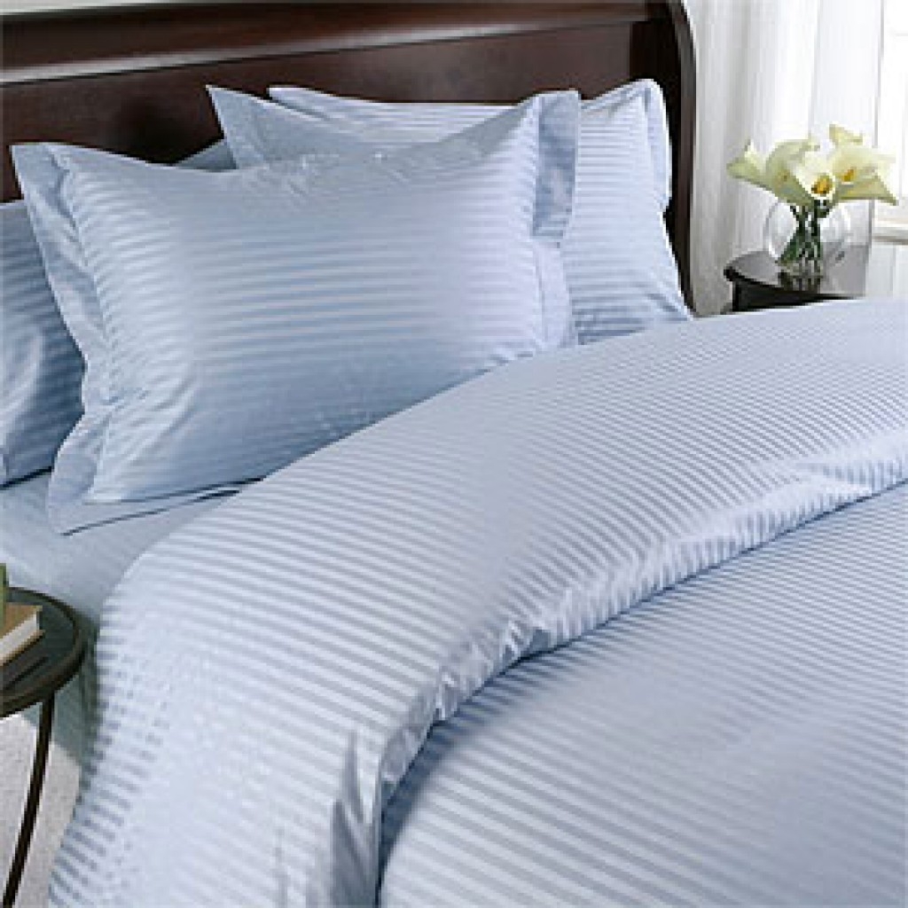 Light Blue Stripe Twin Duvet Cover Set 100% Cotton 300