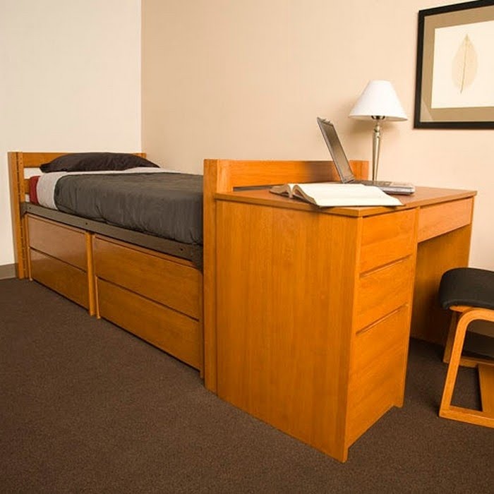 Twin Xl Loft Bed Visualhunt, Twin Xl Dorm Bed Frame Dimensions