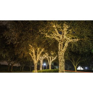 Outdoor Tree Lights Solar - VisualHunt