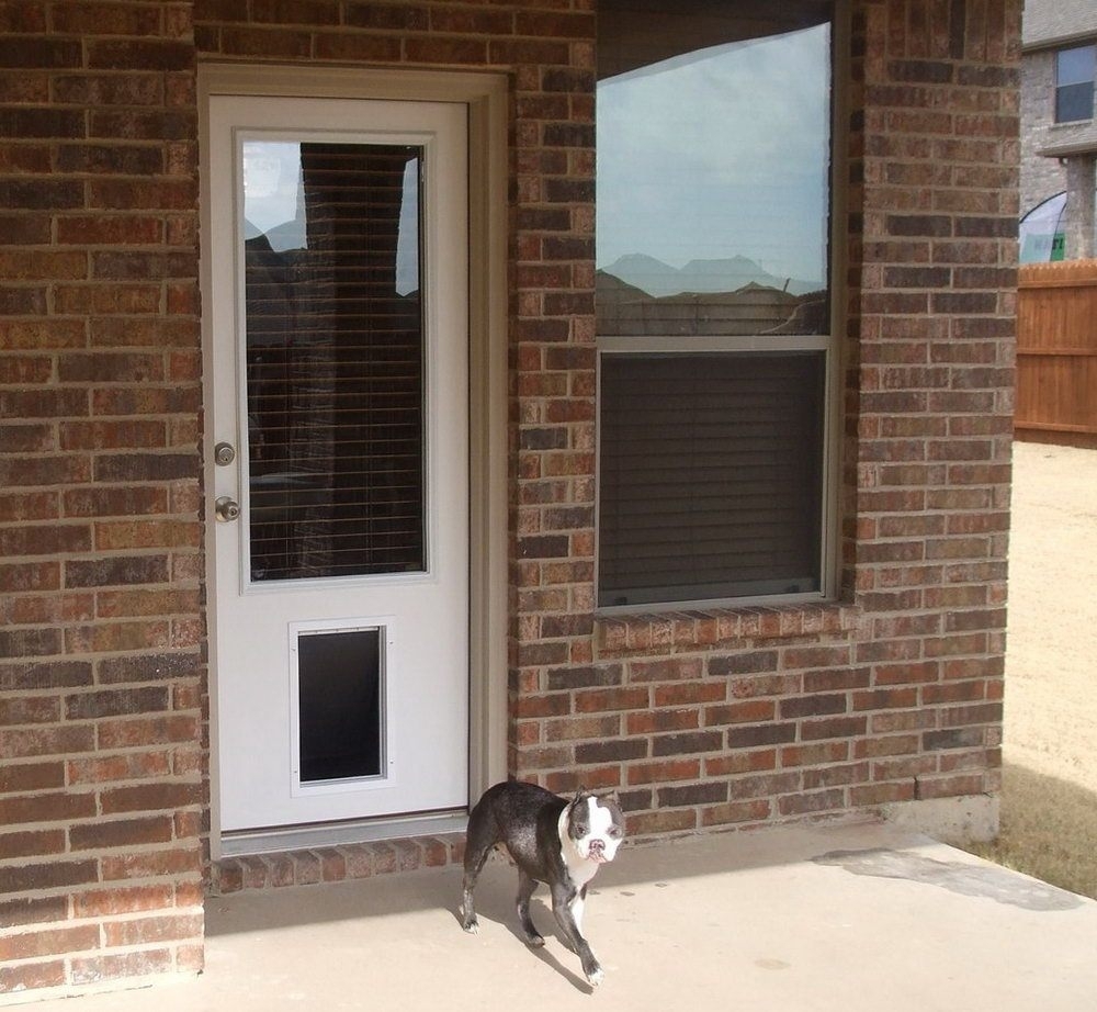 Glass door with outlet pet door built in