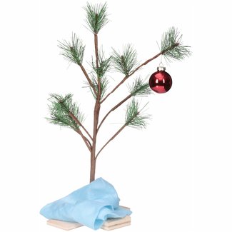 Download 50 Charlie Brown Christmas Tree You Ll Love In 2020 Visual Hunt PSD Mockup Templates