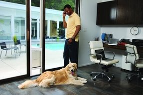 50 Door With Dog Door You Ll Love In 2020 Visual Hunt