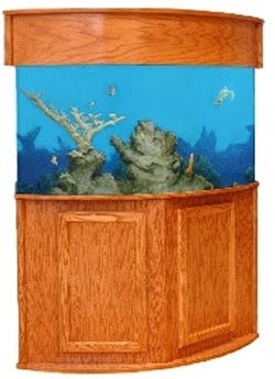 R&J Poseidon 92-Gallon Corner Bow Front Aquarium Stand ...