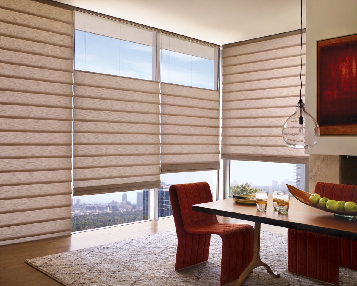 roman-shades-for-patio-doors-Living-Room-Contemporary-with ...